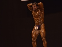 49th_asian_bodybuilding_and_physique_championships_in_tashkent_2015_day-4st_semifinals_03_oct_00387