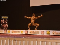 49th_asian_bodybuilding_and_physique_championships_in_tashkent_2015_day-4st_semifinals_03_oct_00434