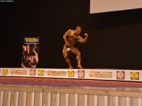 49th_asian_bodybuilding_and_physique_championships_in_tashkent_2015_day-4st_semifinals_03_oct_00435
