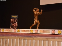 49th_asian_bodybuilding_and_physique_championships_in_tashkent_2015_day-4st_semifinals_03_oct_00436