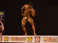49th_asian_bodybuilding_and_physique_championships_in_tashkent_2015_day-4st_semifinals_03_oct_00438