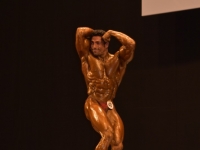 49th_asian_bodybuilding_and_physique_championships_in_tashkent_2015_day-4st_semifinals_03_oct_00446