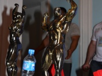49th_asian_bodybuilding_and_physique_championships_in_tashkent_2015_day-4st_semifinals_03_oct_00502