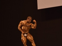 49th_asian_bodybuilding_and_physique_championships_in_tashkent_2015_day-4st_semifinals_03_oct_00603