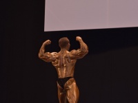 49th_asian_bodybuilding_and_physique_championships_in_tashkent_2015_day-4st_semifinals_03_oct_00605