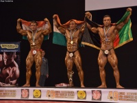 49th_asian_bodybuilding_and_physique_championships_in_tashkent_2015_day-4st_semifinals_03_oct_00661