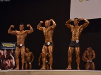 49th_asian_bodybuilding_and_physique_championships_in_tashkent_2015_day-5st_finals_and_farewell_party_04_oct_00026
