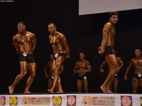 49th_asian_bodybuilding_and_physique_championships_in_tashkent_2015_day-5st_finals_and_farewell_party_04_oct_00094
