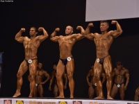 49th_asian_bodybuilding_and_physique_championships_in_tashkent_2015_day-5st_finals_and_farewell_party_04_oct_00215