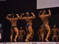49th_asian_bodybuilding_and_physique_championships_in_tashkent_2015_day-5st_finals_and_farewell_party_04_oct_00218