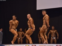 49th_asian_bodybuilding_and_physique_championships_in_tashkent_2015_day-5st_finals_and_farewell_party_04_oct_00219