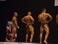 49th_asian_bodybuilding_and_physique_championships_in_tashkent_2015_day-5st_finals_and_farewell_party_04_oct_00236