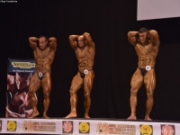 49th_asian_bodybuilding_and_physique_championships_in_tashkent_2015_day-5st_finals_and_farewell_party_04_oct_00242