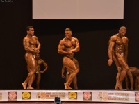 49th_asian_bodybuilding_and_physique_championships_in_tashkent_2015_day-5st_finals_and_farewell_party_04_oct_00287
