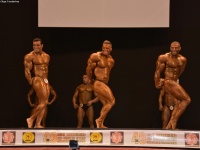 49th_asian_bodybuilding_and_physique_championships_in_tashkent_2015_day-5st_finals_and_farewell_party_04_oct_00293