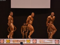 49th_asian_bodybuilding_and_physique_championships_in_tashkent_2015_day-5st_finals_and_farewell_party_04_oct_00294