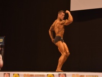 49th_asian_bodybuilding_and_physique_championships_in_tashkent_2015_day-5st_finals_and_farewell_party_04_oct_00323