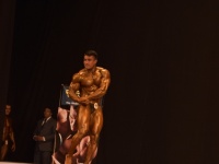 49th_asian_bodybuilding_and_physique_championships_in_tashkent_2015_day-5st_finals_and_farewell_party_04_oct_00503