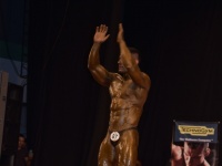 49th_asian_bodybuilding_and_physique_championships_in_tashkent_2015_day-5st_finals_and_farewell_party_04_oct_00588
