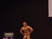 49th_asian_bodybuilding_and_physique_championships_in_tashkent_2015_day-5st_finals_and_farewell_party_04_oct_00610