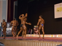 49th_asian_bodybuilding_and_physique_championships_in_tashkent_2015_day-5st_finals_and_farewell_party_04_oct_00627