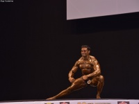 49th_asian_bodybuilding_and_physique_championships_in_tashkent_2015_day-5st_finals_and_farewell_party_04_oct_00635
