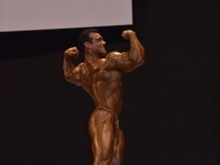 49th_asian_bodybuilding_and_physique_championships_in_tashkent_2015_day-5st_finals_and_farewell_party_04_oct_00642