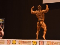 49th_asian_bodybuilding_and_physique_championships_in_tashkent_2015_day-5st_finals_and_farewell_party_04_oct_00657