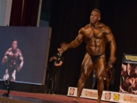 49th_asian_bodybuilding_and_physique_championships_in_tashkent_2015_day-5st_finals_and_farewell_party_04_oct_00659