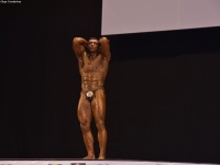 49th_asian_bodybuilding_and_physique_championships_in_tashkent_2015_day-5st_finals_and_farewell_party_04_oct_00762