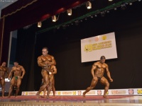 49th_asian_bodybuilding_and_physique_championships_in_tashkent_2015_day-5st_finals_and_farewell_party_04_oct_00782