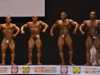 49th_asian_bodybuilding_and_physique_championships_in_tashkent_2015_day-5st_finals_and_farewell_party_04_oct_00819