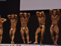 49th_asian_bodybuilding_and_physique_championships_in_tashkent_2015_day-5st_finals_and_farewell_party_04_oct_00833
