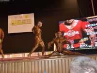 49th_asian_bodybuilding_and_physique_championships_in_tashkent_2015_day-5st_finals_and_farewell_party_04_oct_00846