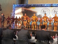 5th-wbpf-world-bodybuilding-physique-sports-championships-2013_19