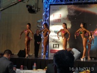 5th-wbpf-world-bodybuilding-physique-sports-championships-2013_30