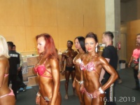 5th-wbpf-world-bodybuilding-physique-sports-championships-2013_36