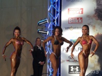 5th-wbpf-world-bodybuilding-physique-sports-championships-2013_37