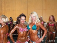 5th-wbpf-world-bodybuilding-physique-sports-championships-2013_40