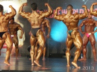 5th-wbpf-world-bodybuilding-physique-sports-championships-2013_48