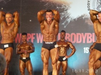 5th-wbpf-world-bodybuilding-physique-sports-championships-2013_5