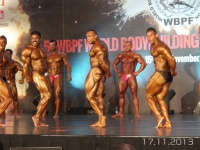 5th-wbpf-world-bodybuilding-physique-sports-championships-2013_50