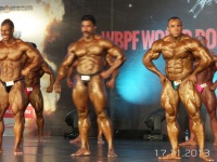 5th-wbpf-world-bodybuilding-physique-sports-championships-2013_52