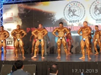 5th-wbpf-world-bodybuilding-physique-sports-championships-2013_55