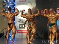 5th-wbpf-world-bodybuilding-physique-sports-championships-2013_57