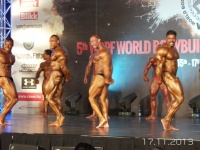 5th-wbpf-world-bodybuilding-physique-sports-championships-2013_58