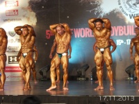 5th-wbpf-world-bodybuilding-physique-sports-championships-2013_59