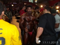 5th-wbpf-world-bodybuilding-physique-sports-championships-2013_67