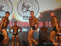 5th-wbpf-world-bodybuilding-physique-sports-championships-2013_7