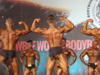 5th-wbpf-world-bodybuilding-physique-sports-championships-2013_71